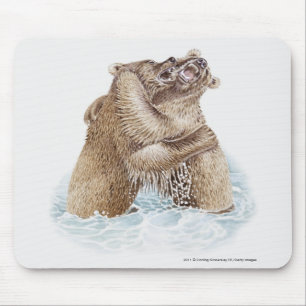 Illustratie van twee bruine Beren die in water vec Muismat
