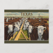  illustratie van vee in Midland Texas Briefkaart (Voorkant)