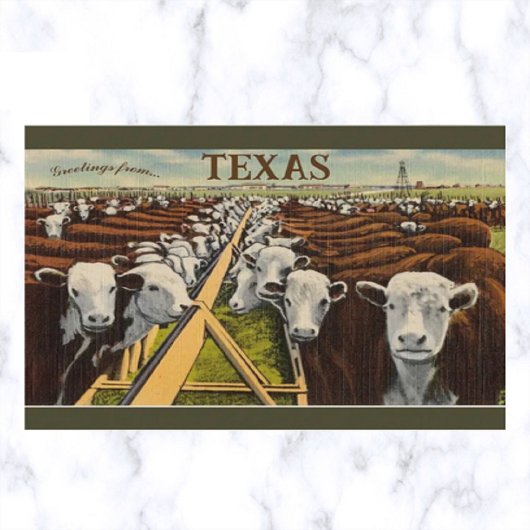  illustratie van vee in Midland Texas Briefkaart