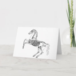 Illustratie van Victoriaans paardenskelet Kaart