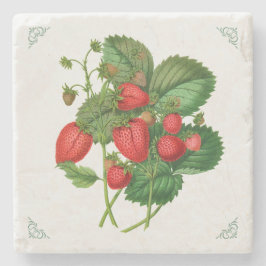 Illustratie van vintage aardbeien fruit stenen onderzetter