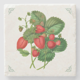 Illustratie van vintage aardbeien fruit stenen onderzetter