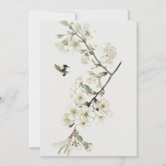 Illustratie van vintage appelbloesem kaart (Voorkant)