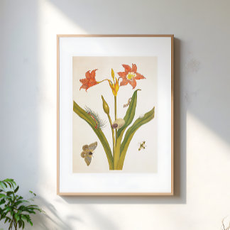 Illustratie van vintage bloemenplant botanisch poster