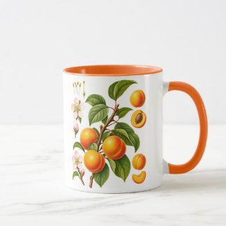 Illustratie van Vintage Botanische Abrikoos Mok
