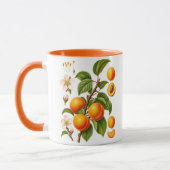 Illustratie van Vintage Botanische Abrikoos Mok (Links)