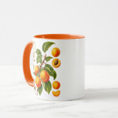 Illustratie van Vintage Botanische Abrikoos Mok (Voorkant links)
