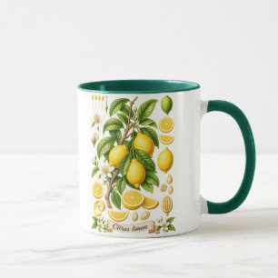 Illustratie van vintage botanische citroen mok