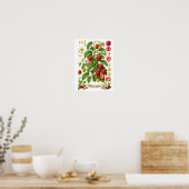 Illustratie van Vintage Botanische Framboos Poster (Keuken)
