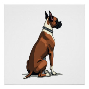 Illustratie van vintage boxerhond van achteren bru perfect poster