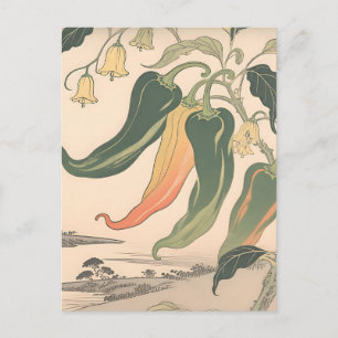 Illustratie van vintage chilipeper briefkaart