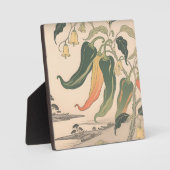 Illustratie van vintage chilipeper fotoplaat (Voorkant)