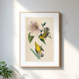 Illustratie van vintage gele vogels op bloem poster