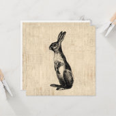 Illustratie van vintage konijn met antieke konijne kaart (Voorkant / Achterkant in situ)