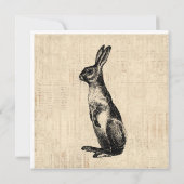 Illustratie van vintage konijn met antieke konijni kaart (Achterkant)