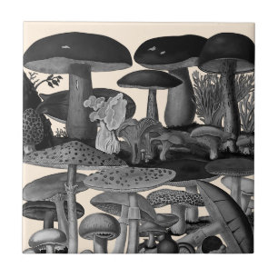 Illustratie van vintage paddenstoelen in zwart-wit tegeltje