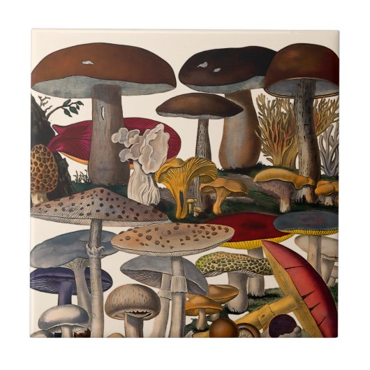 Illustratie van vintage paddenstoelen tegeltje (Voorkant)