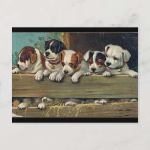 Illustratie van vintage puppy's, hondenwelpen briefkaart