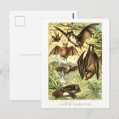 Illustratie van vintage vleermuizen briefkaart (Voorkant / Achterkant)