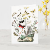 Illustratie van vintage vlinders kaart (Gele Bloem)