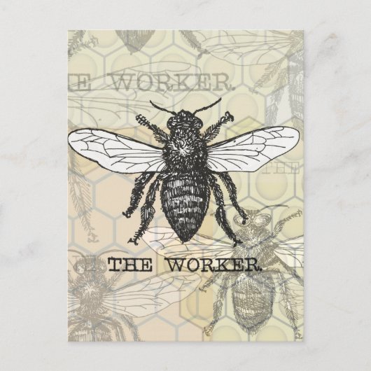 Illustratie van vintage werkbij briefkaart (Voorkant)