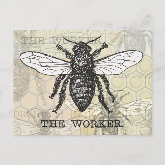 Illustratie van vintage werkbij briefkaart (Voorkant)