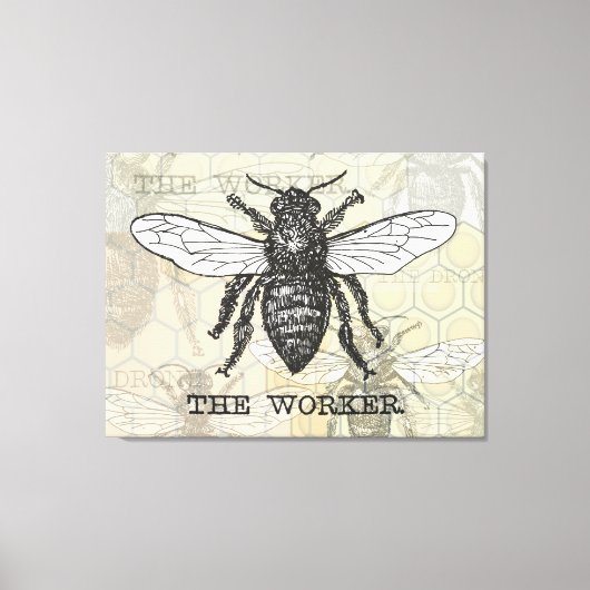 Illustratie van vintage werkbij kunst canvas afdruk (Voorkant)