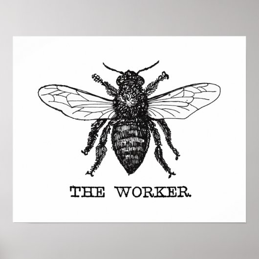 Illustratie van vintage werkbij kunst poster (Voorkant)