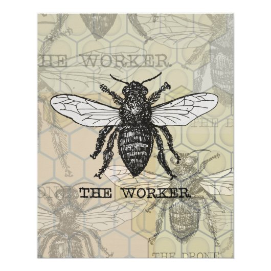 Illustratie van vintage werkbij kunst poster (Voorkant)