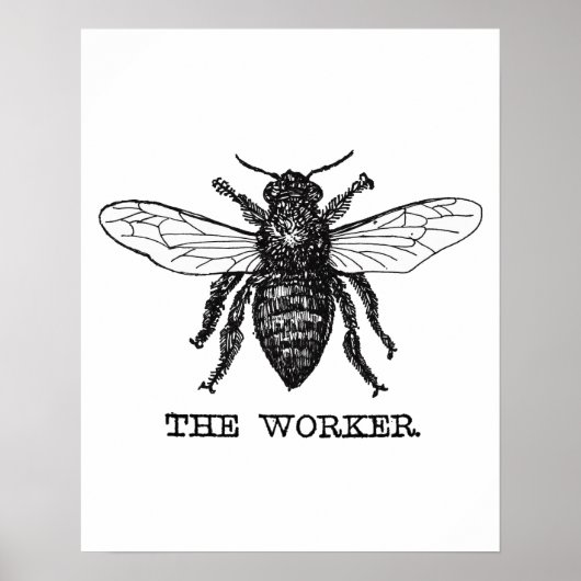 Illustratie van vintage werkbij poster (Voorkant)