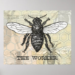Illustratie van vintage werkbij poster
