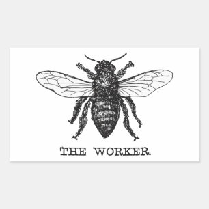 Illustratie van vintage werkbij rechthoekige sticker