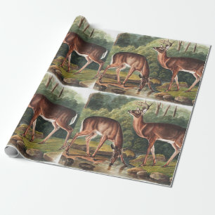 Illustratie van Virginisch hert (Cervus Virginianu Cadeaupapier