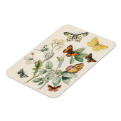  illustratie van vlinders magneet (Linkerzijde)