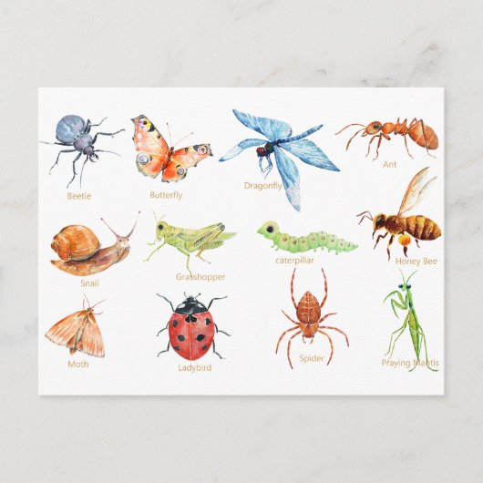 illustratie van waterverf insecten briefkaart (Voorkant)