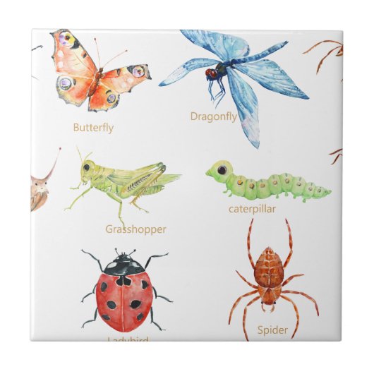 illustratie van waterverf insecten tegeltje (Voorkant)