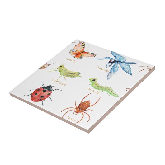 illustratie van waterverf insecten tegeltje (Zijkant)