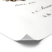  illustratie van weekdieren poster (Hoek)