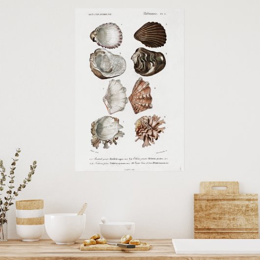 illustratie van weekdieren poster (Keuken)