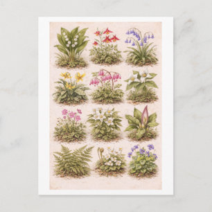 Illustratie van wilde bloemen in vintage-stijl briefkaart