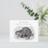 illustratie van wilde dieren in de luipaard briefkaart (Staand voorkant)