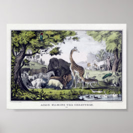 illustratie van wilde dieren poster