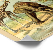  illustratie van wilde dieren poster (Hoek)