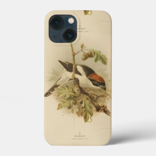  illustratie van Woodchat Shrike Case-Mate iPhone Case (Achterkant)
