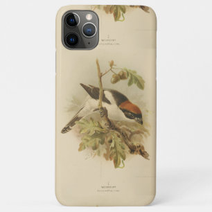 illustratie van Woodchat Shrike Case-Mate iPhone Case