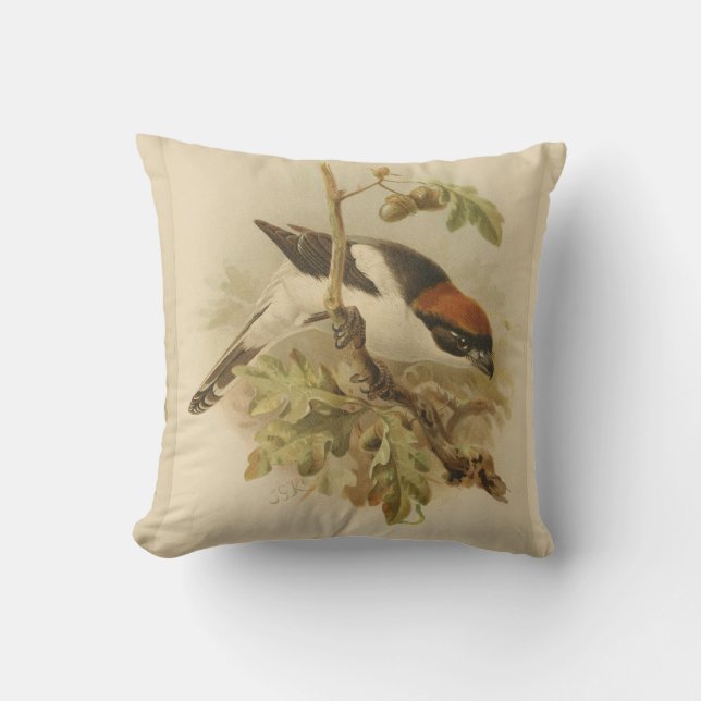  illustratie van Woodchat Shrike Kussen (Voorkant)