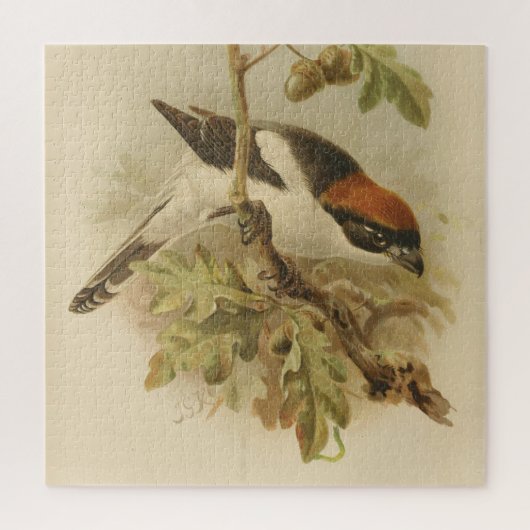 illustratie van Woodchat Shrike Legpuzzel (Verticaal)