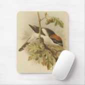 illustratie van Woodchat Shrike Muismat (Met muis)