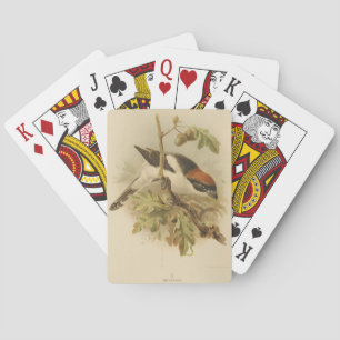 illustratie van Woodchat Shrike Pokerkaarten