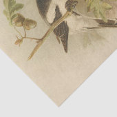  illustratie van Woodchat Shrike Tissuepapier (Detail)